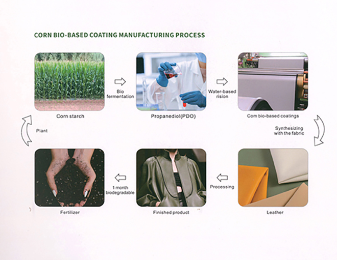 Bio-Based Leather: The Truth Behind the 75% Bio-Content Revolution