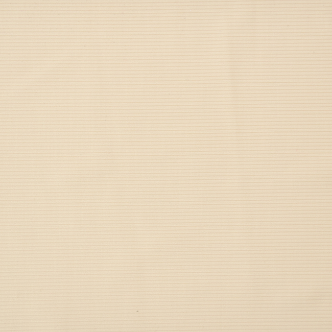 150GSM Ribbed Nylon Spandex Fabric | 75% Nylon 25% Spandex For Sportswear Tops